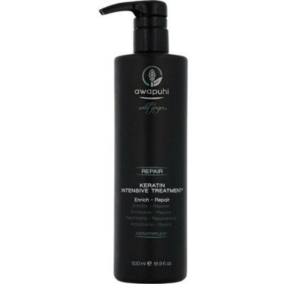 Paul Mitchell Awapuhi Wild Ginger Repair Intensive Treatment péče pro suché a poškozené vlasy 500 ml – Hledejceny.cz