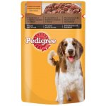 Pedigree s hovězím & králičím masem 100 g – Zboží Mobilmania