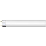 NBB LT 10W 4000K G13 – Hledejceny.cz