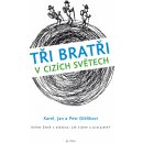 Tři bratři v cizích světech. Kolem země s otázkou: Jak žijete a pracujete? - Karel Diblík, Jan Diblík, Petr Diblík