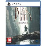 Bleak Faith: Forsaken – Zboží Živě