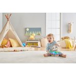 Fisher-Price Linkimals mluvící lenochod SK – Hledejceny.cz