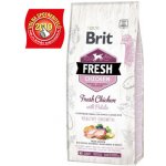Brit Fresh Chicken with Potato Puppy Healthy Growth 2 x 12 kg – Hledejceny.cz