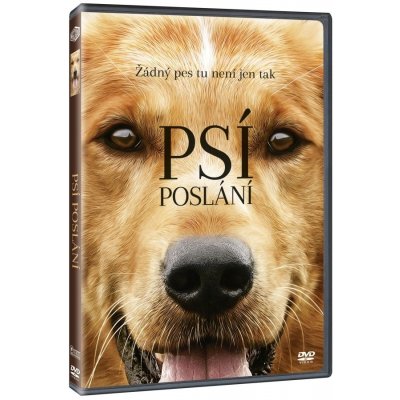 Psí poslání DVD – Zbozi.Blesk.cz