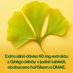 Walmark Ginkoprim Max 60 tablet – Hledejceny.cz