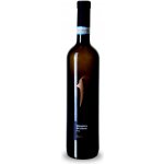 La Guardiense Falanghina del Sannio DOP 13,5% 0,75 l (holá láhev) – Hledejceny.cz