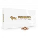 Feminus na zmírnění příznaků menopauzy 60 tablet – Hledejceny.cz