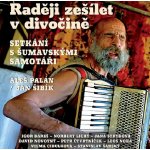 Raději zešílet v divočině - Palán Aleš – Zboží Dáma