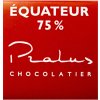 Čokoláda Francois Pralus Ekvádor 75% Bio 1 kg