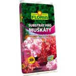 Agro CS Substrát pro muškáty 50 l – Zboží Mobilmania