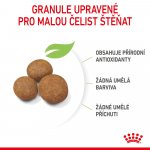 Royal Canin Maxi Puppy 4 kg – Hledejceny.cz