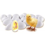 Learning Resources Vývoj kuřátek ve vajíčku set 21 vajec s jednotlivými fázemi vývoje – Hledejceny.cz