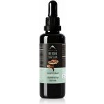 Serafin Reishi BIO tinktura z hub 30 ml – Hledejceny.cz