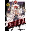 Komiks a manga Negima! 13 - Akamatsu Ken