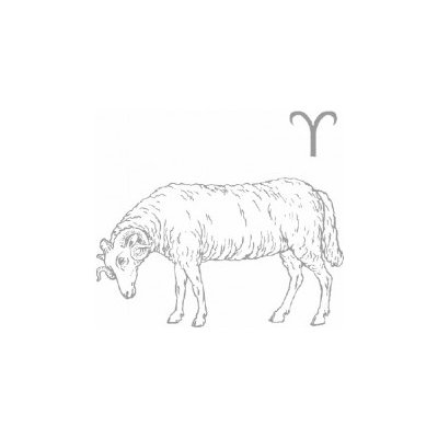 Beran – Zboží Dáma