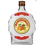 R. Jelínek Meruňkovice 42% 0,5 l (holá láhev) – Zboží Dáma