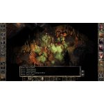 Baldurs Gate 2 (Enhanced Edition) – Zboží Dáma