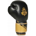 DBX Bushido B-2v10 – Zboží Dáma