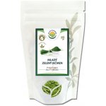 Salvia Paradise Mladý zelený ječmen BIO 250 g – Hledejceny.cz