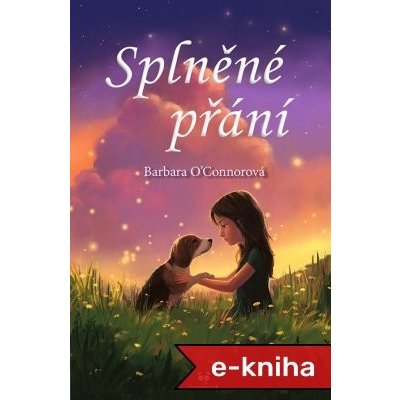 Splněné přání - Barbara O´Connor