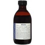 Davines Alchemic Silver šampon 250 ml – Zboží Dáma