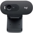 Logitech C505e HD Webcam