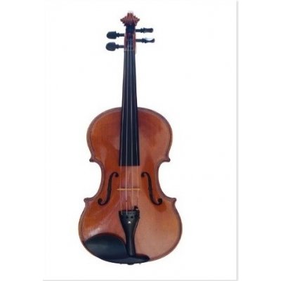 VIENNA WORLD Pohlednice HOUSLE – Zboží Dáma