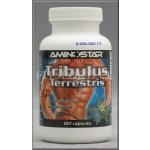 Aminostar Tribulus Terrestris 120 kapslí – Zboží Dáma