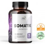 Sibi Somatik komplex houbové extrakty 90 kapslí – Hledejceny.cz