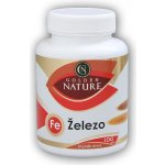 Golden Nature Železo+Vitamin C+Kys. listová 100 kapslí – Hledejceny.cz