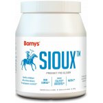 Barny's Sioux Ultra-C Imuno Complex 30 kapslí 600 g – Hledejceny.cz