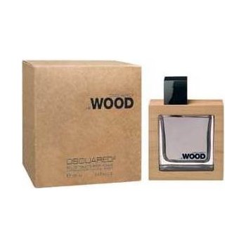 Dsquared2 Wood toaletní voda pánská 100 ml