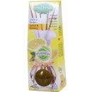 Embfresh vonné tyčinky Citron Ženšen 35 ml