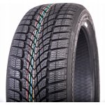 Dunlop SP Winter Sport 4D 205/45 R17 88V Runflat – Zboží Mobilmania