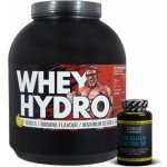 Titanus Whey Hydro DH32 1600 g – Zboží Dáma