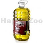 Silvita Hyalgel Horse jablko 5 l – Zboží Dáma