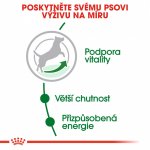 Royal Canin Mini Adult 8+ 8 kg – Zboží Mobilmania