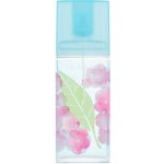 Elizabeth Arden Green Tea Sakura Blossom toaletní voda dámská 50 ml – Hledejceny.cz