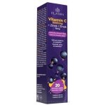 Platan Vitamin C + Zinek šumivé tablety příchuť černý rybíz 20 ks – Hledejceny.cz