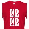 Pánské sportovní tričko No pain no gain Canvas pánské tričko s krátkým rukávem červená