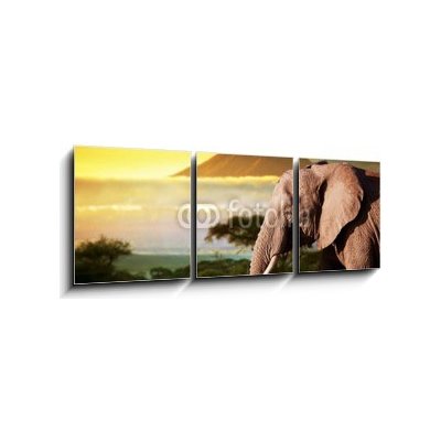 Obraz 3D třídílný - 150 x 50 cm - Elephant on savanna. Mount Kilimanjaro at sunset. Safari Slon na savaně. Mount Kilimanjaro při západu slunce. Safari – Zbozi.Blesk.cz