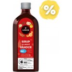 Leros Sirup Bylinkové vánoce 250 ml – Zboží Dáma