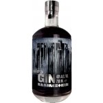 Rammstein Schwarz Gin 40% 0,7 l (holá lahev) – Hledejceny.cz
