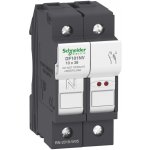 SCHNEIDER ELECTRIC SCHNEIDER Odpínač VARIO DF101NV 1P+N 32A pojistk. DF101NV – Hledejceny.cz