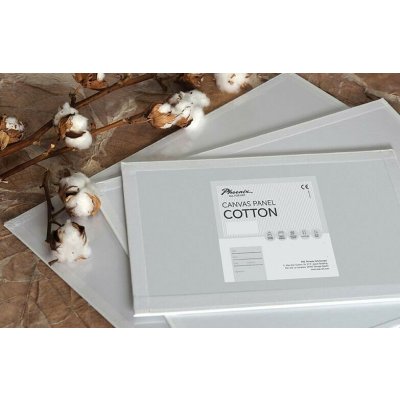 Phoenix Plátno na desce 10 x 15 cm – Zboží Mobilmania