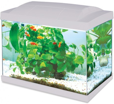 Hailea LED K20 akvarijní set bílý 36 x 23 x 29 cm, 20 l