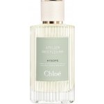 Chloé Atelier Des Fleurs Hysope parfémovaná voda dámská 50 ml – Hledejceny.cz