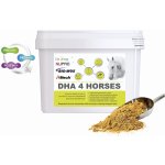 Dromy DHA 4 HORSES 3 kg – Zboží Dáma
