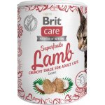 Brit Care Snack Superfruits Lamb Adult 100 g – Zboží Mobilmania