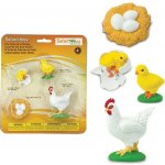 Safari Ltd. životní cyklus Slepice – Sleviste.cz